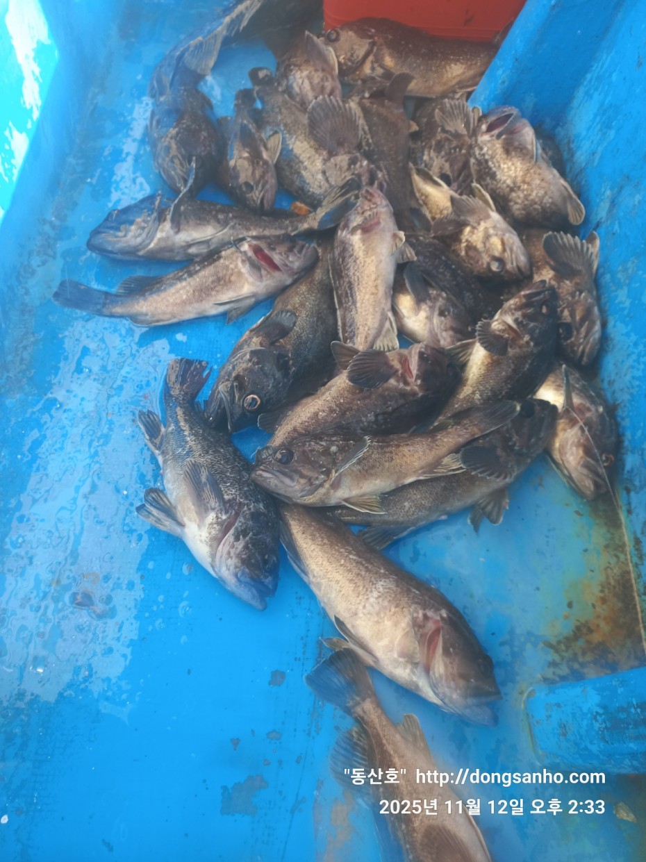 92c452c58eeac18ef7f956f80bad05e6_1762968