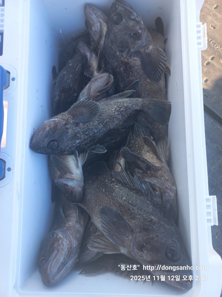 92c452c58eeac18ef7f956f80bad05e6_1762968