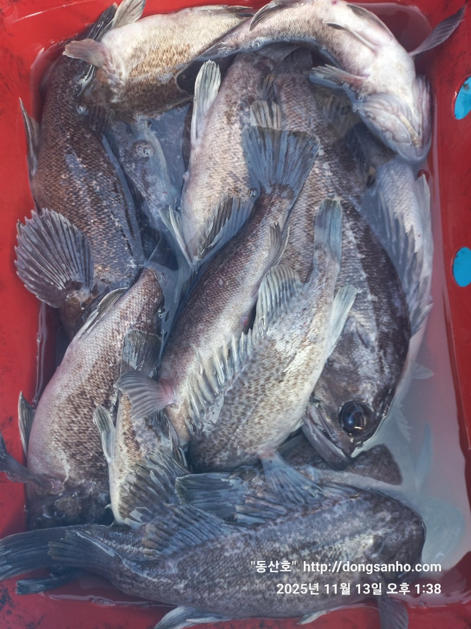 92c452c58eeac18ef7f956f80bad05e6_1763052