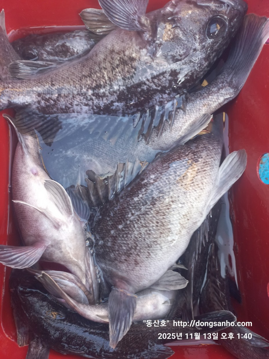 92c452c58eeac18ef7f956f80bad05e6_1763052