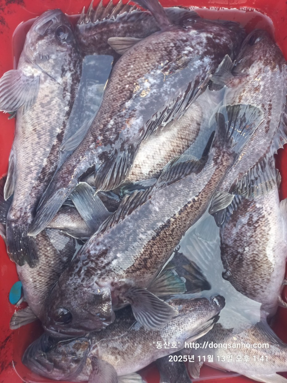 92c452c58eeac18ef7f956f80bad05e6_1763052