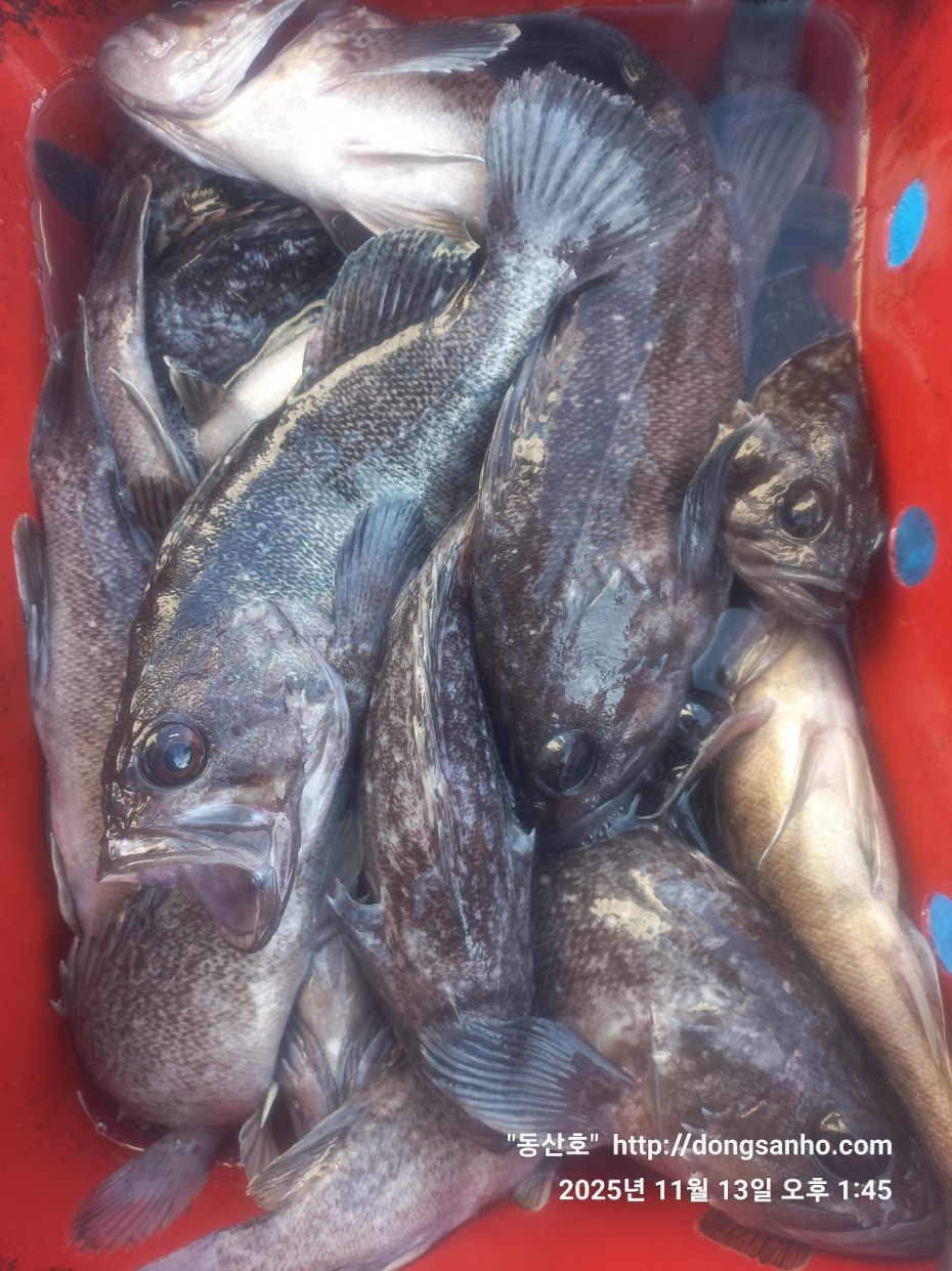 92c452c58eeac18ef7f956f80bad05e6_1763052