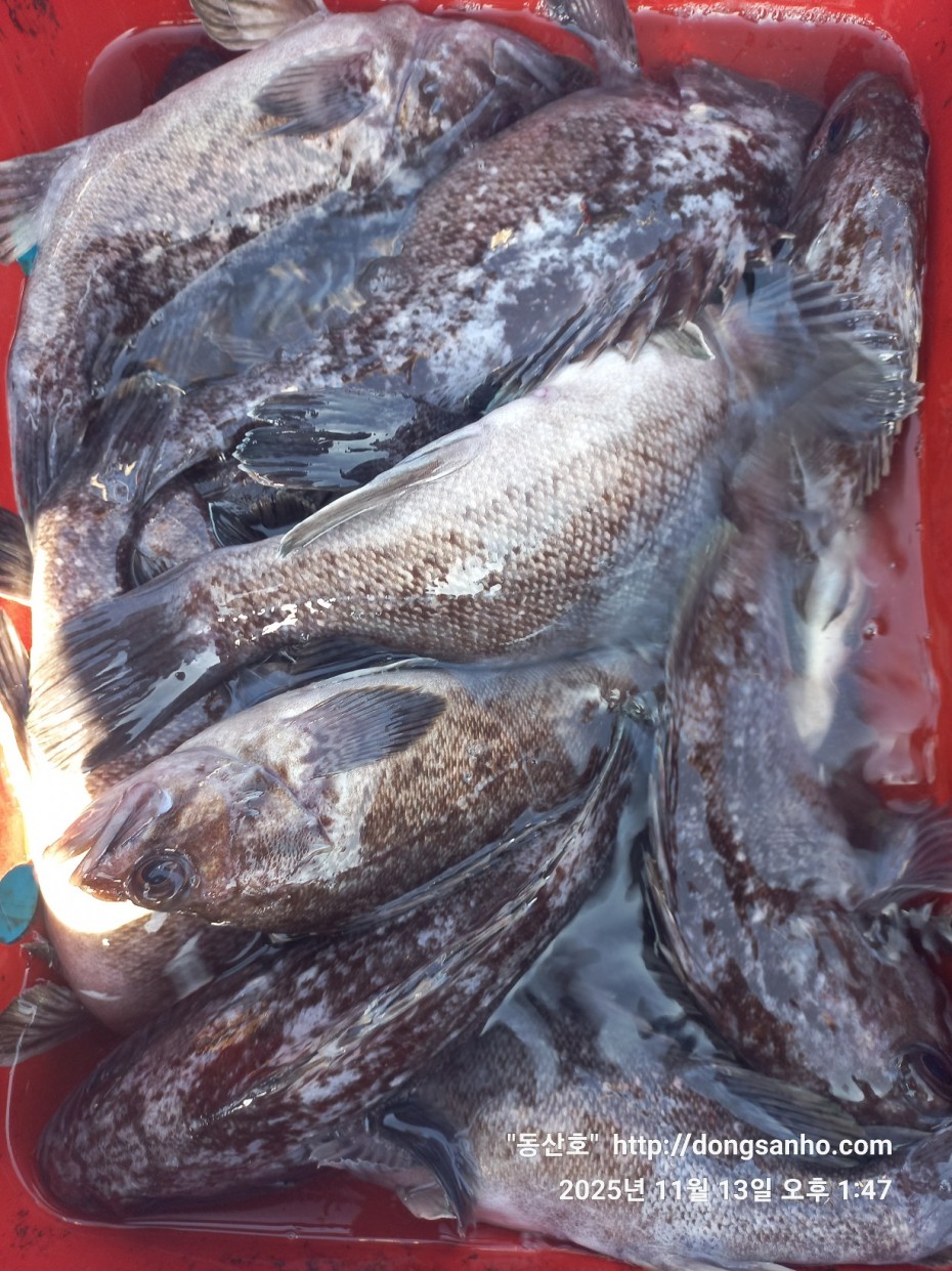 92c452c58eeac18ef7f956f80bad05e6_1763052