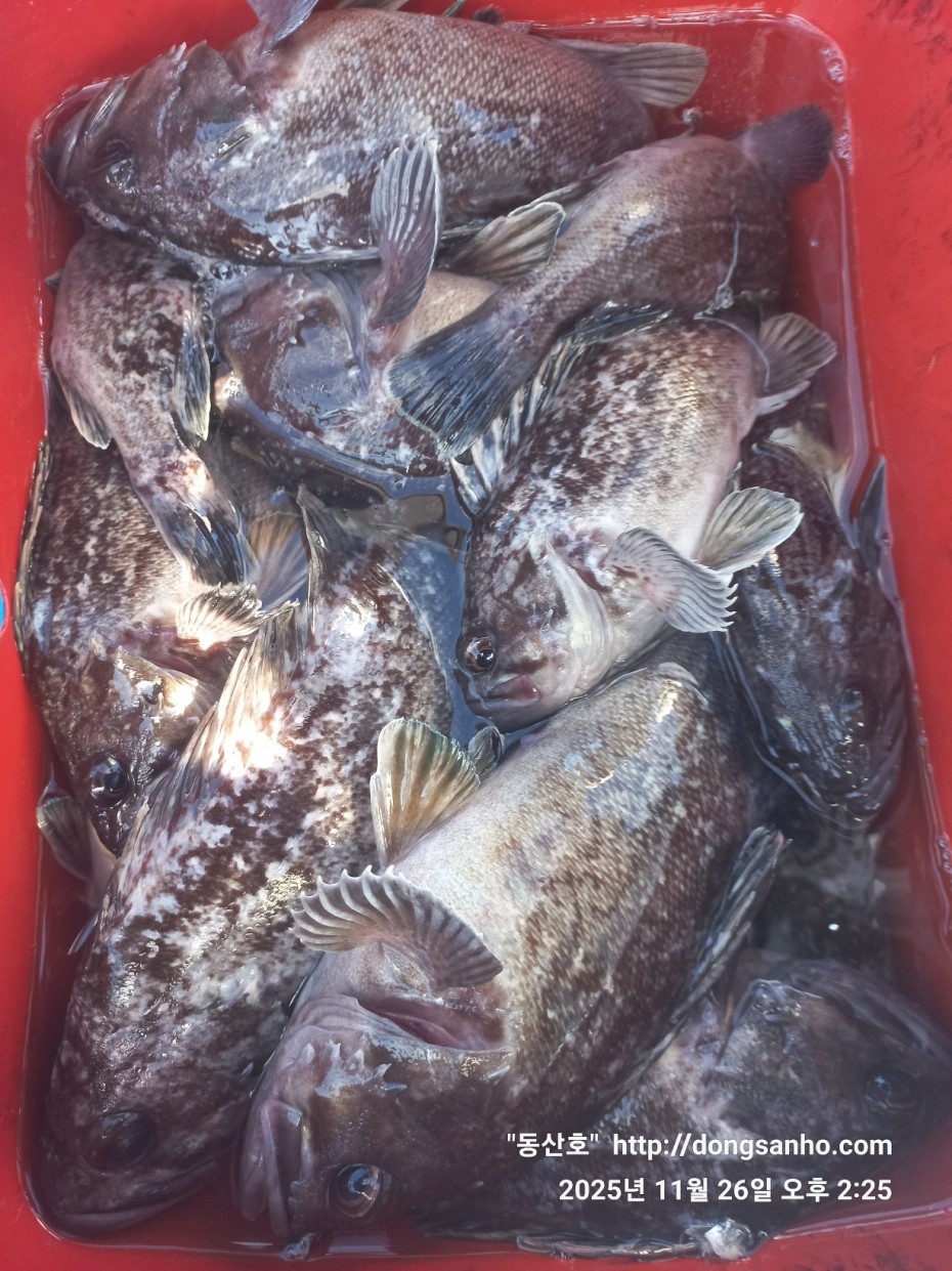 9f02e01cb47a976d2644fedea09a7845_1764200