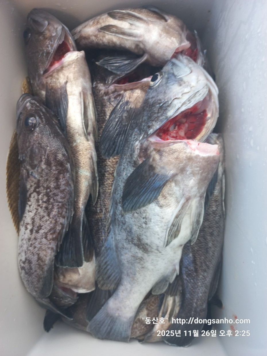 9f02e01cb47a976d2644fedea09a7845_1764200