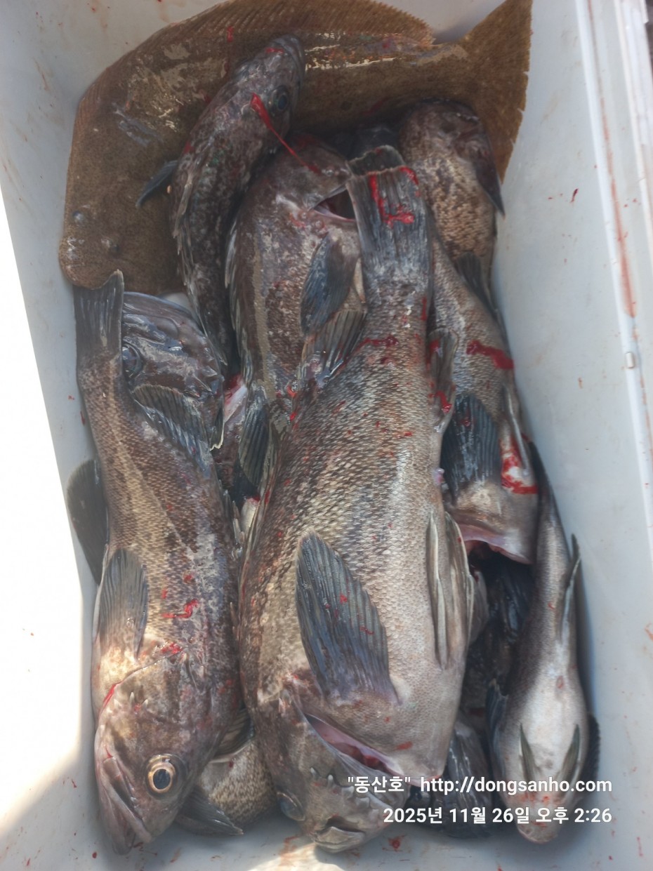 9f02e01cb47a976d2644fedea09a7845_1764200