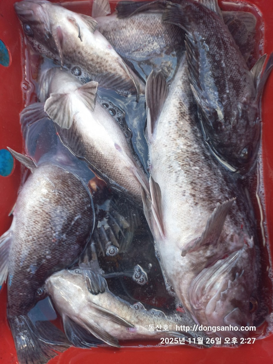 9f02e01cb47a976d2644fedea09a7845_1764200