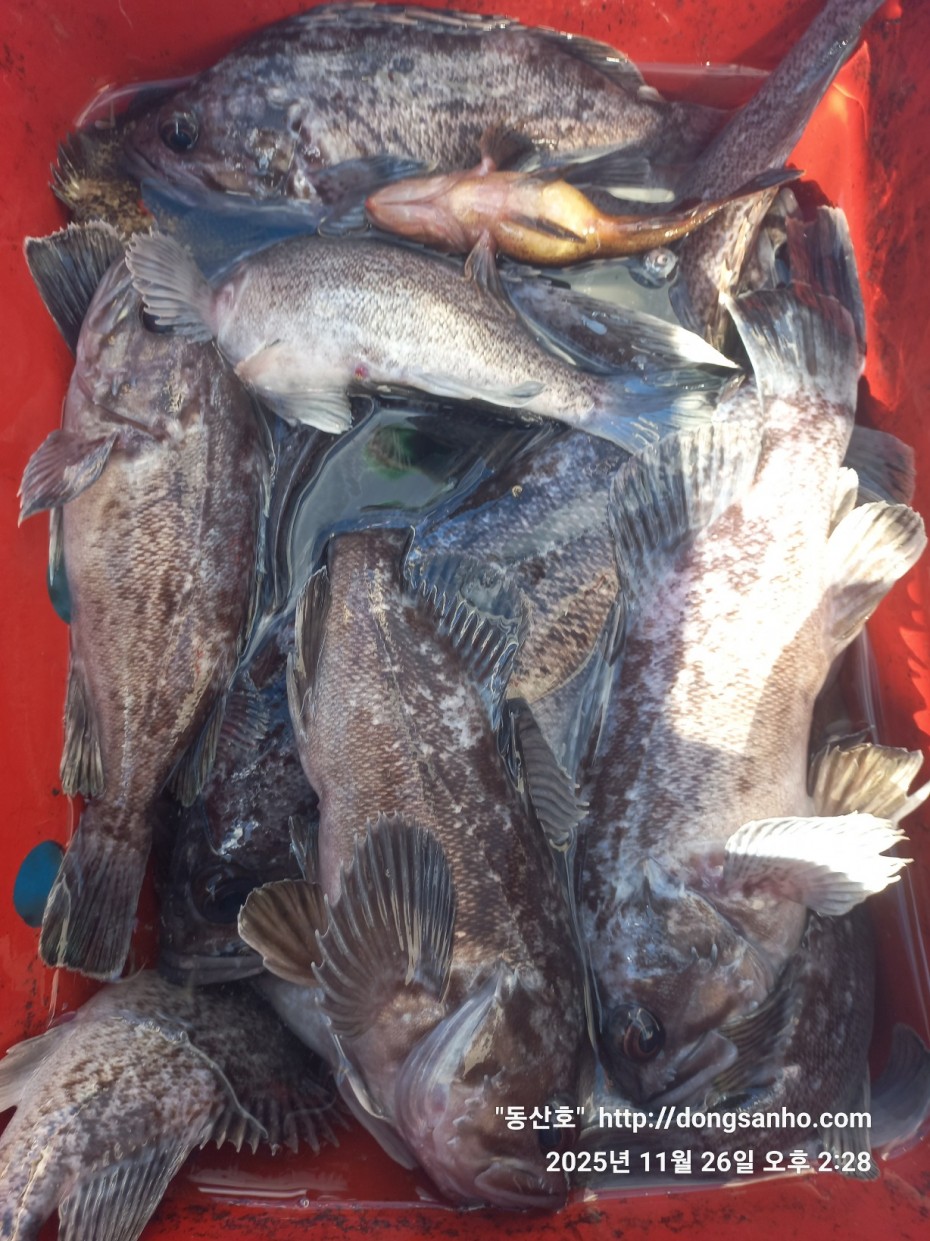 9f02e01cb47a976d2644fedea09a7845_1764200