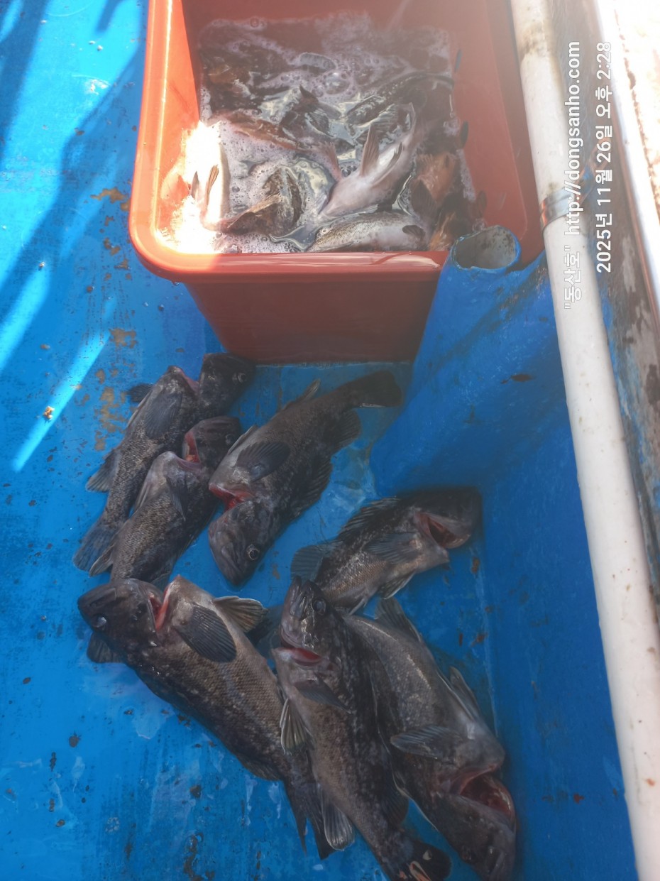 9f02e01cb47a976d2644fedea09a7845_1764200