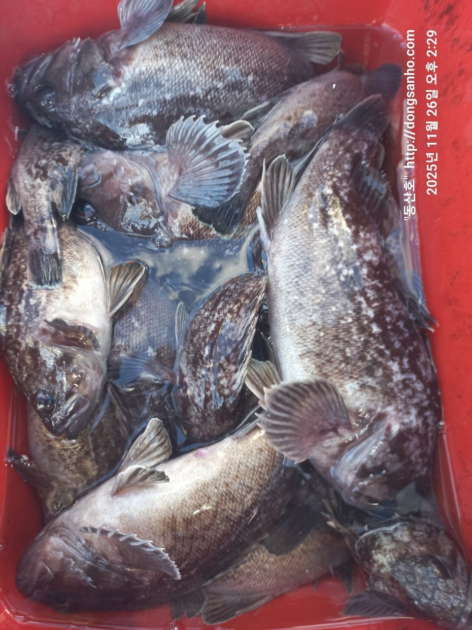 9f02e01cb47a976d2644fedea09a7845_1764200