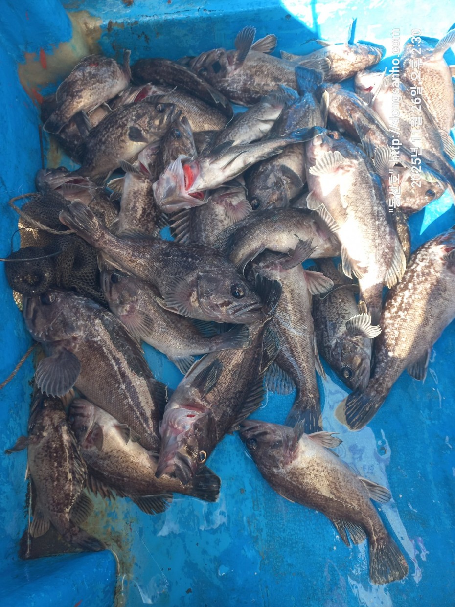 9f02e01cb47a976d2644fedea09a7845_1764200