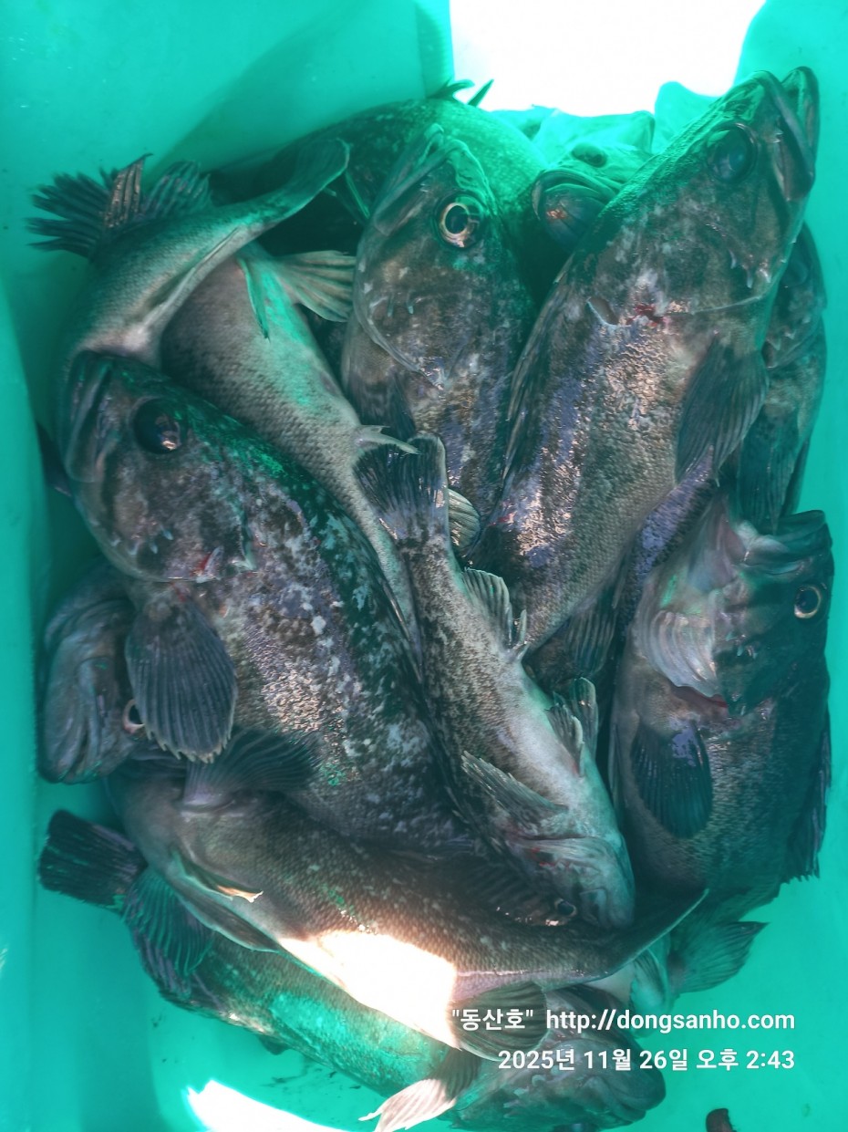 9f02e01cb47a976d2644fedea09a7845_1764200