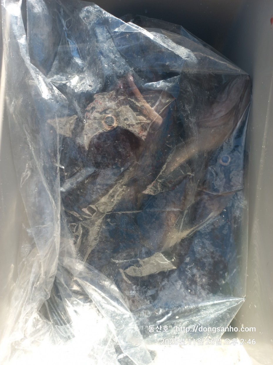 9f02e01cb47a976d2644fedea09a7845_1764200