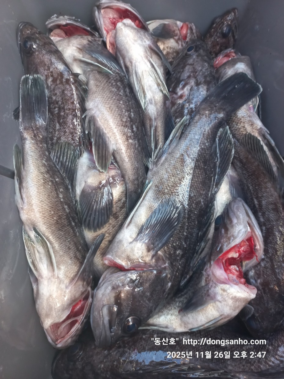 9f02e01cb47a976d2644fedea09a7845_1764200