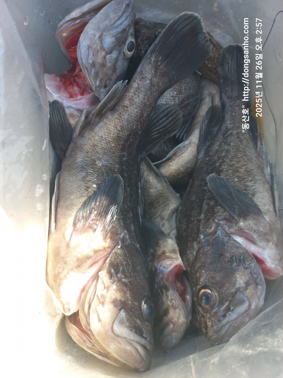 9f02e01cb47a976d2644fedea09a7845_1764200