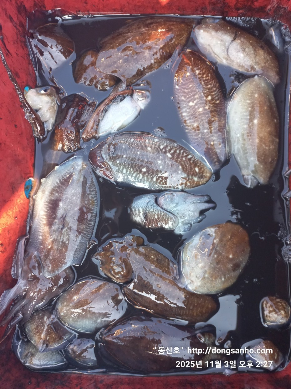 b38df4bfa73c43d62c00a014e2028fce_1762188