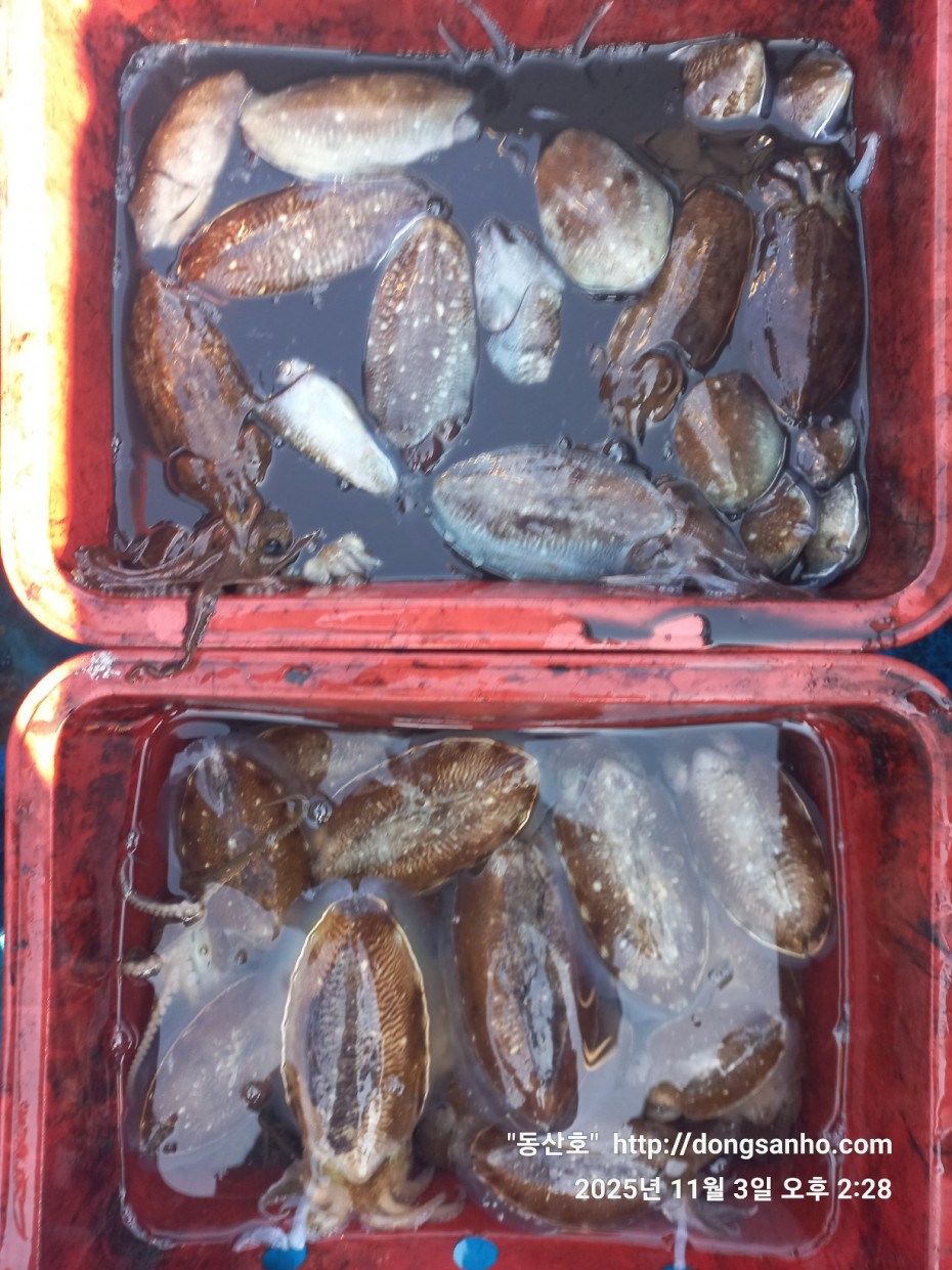 b38df4bfa73c43d62c00a014e2028fce_1762188