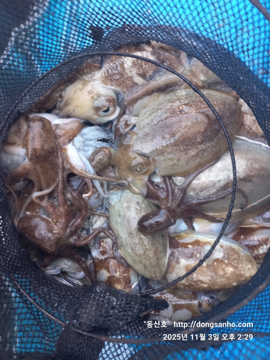 b38df4bfa73c43d62c00a014e2028fce_1762188