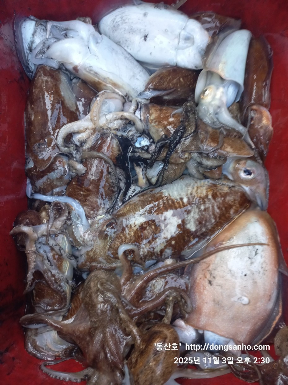 b38df4bfa73c43d62c00a014e2028fce_1762188