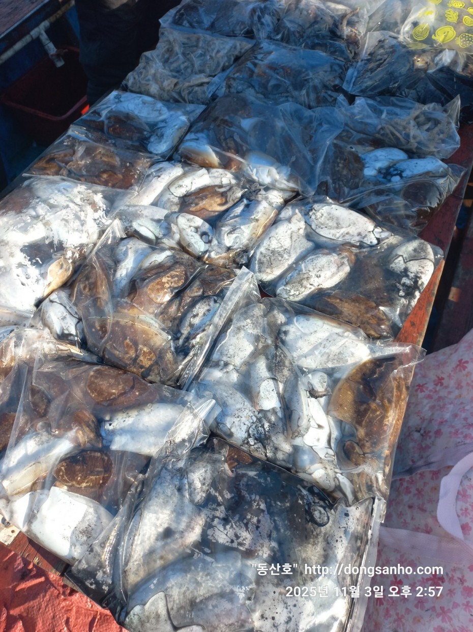 b38df4bfa73c43d62c00a014e2028fce_1762188