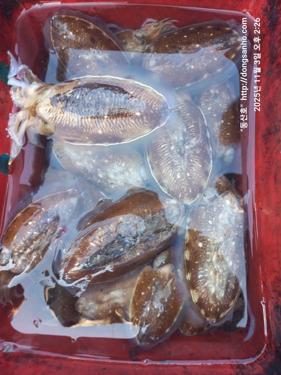 b38df4bfa73c43d62c00a014e2028fce_1762190