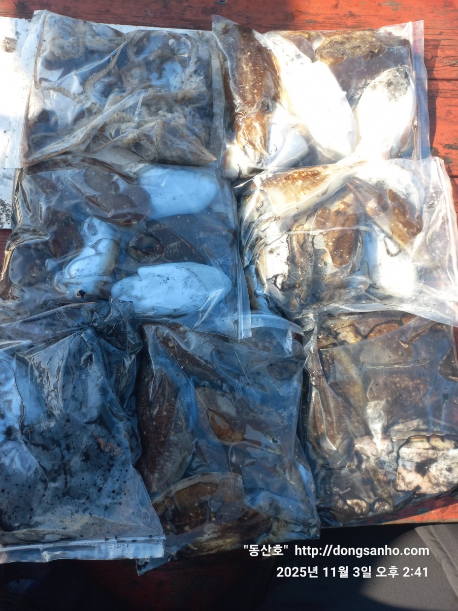 b38df4bfa73c43d62c00a014e2028fce_1762190