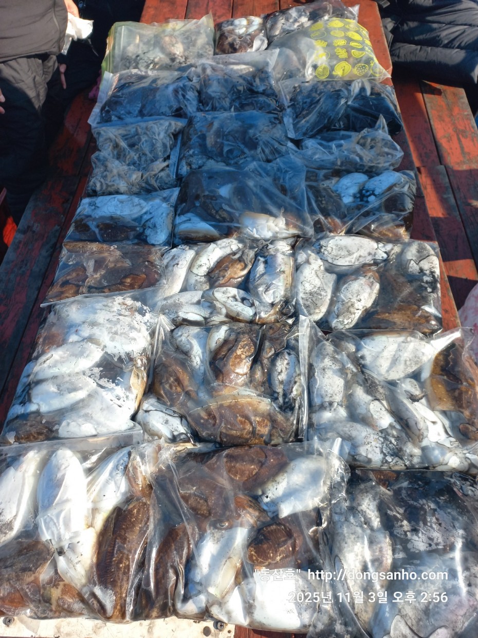 b38df4bfa73c43d62c00a014e2028fce_1762190