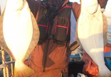 11/19 광어다운…