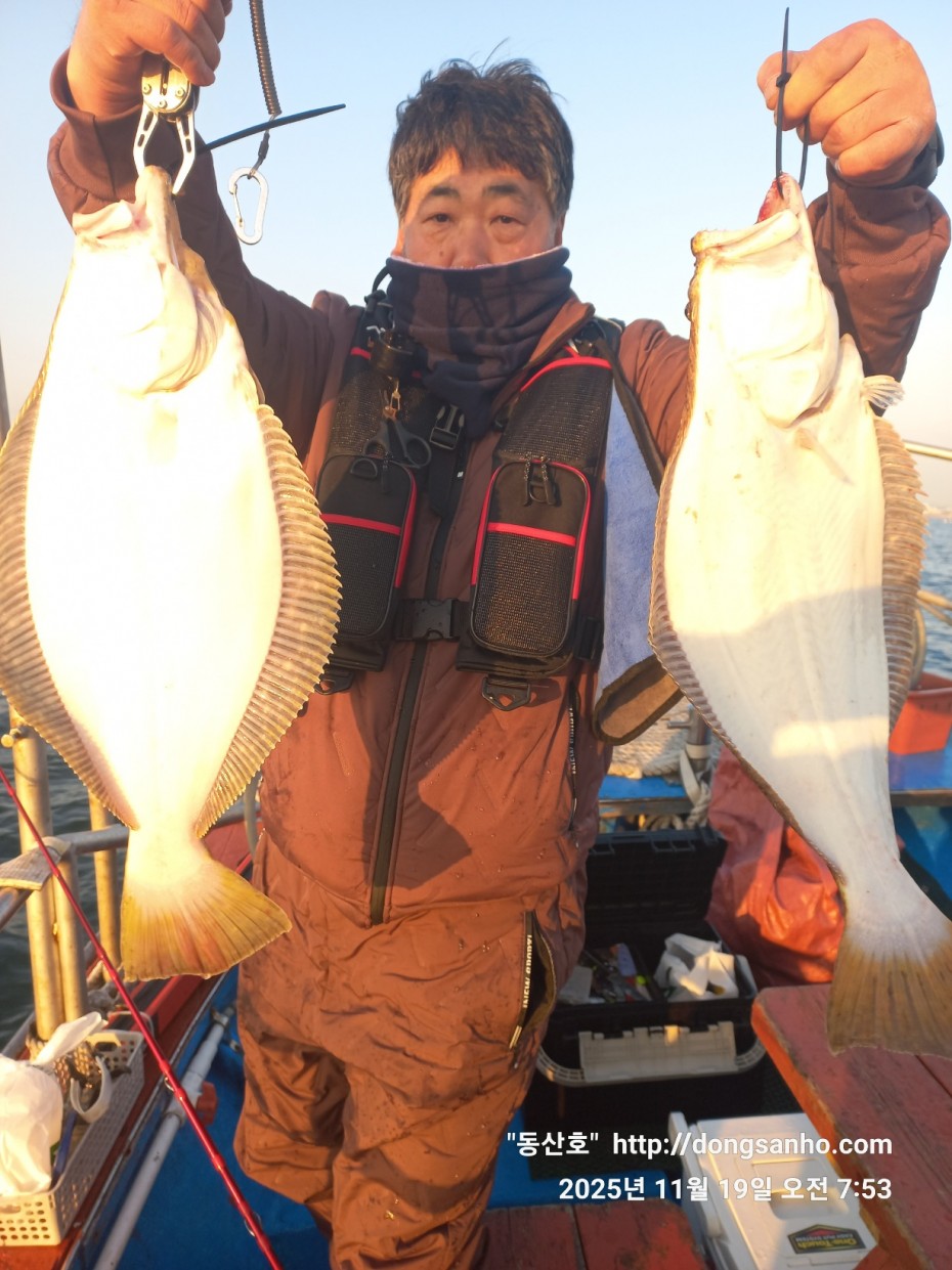 bd20d05e5f0070f6cbd87c76ff23e959_1763569