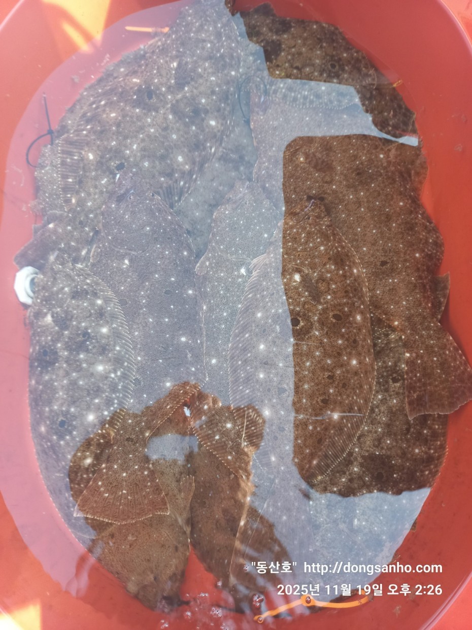 bd20d05e5f0070f6cbd87c76ff23e959_1763569