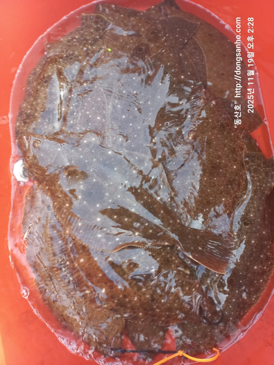 bd20d05e5f0070f6cbd87c76ff23e959_1763569