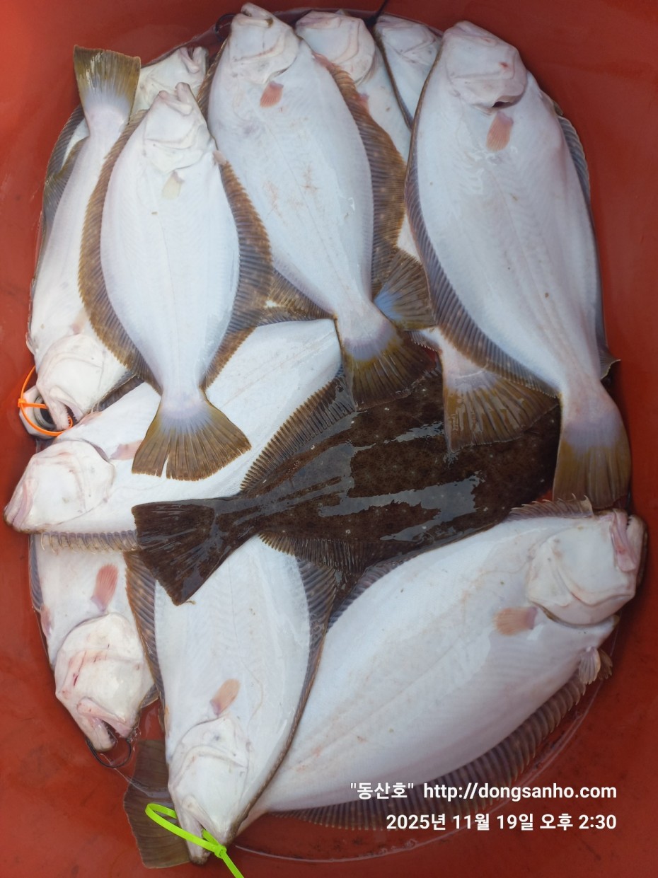 bd20d05e5f0070f6cbd87c76ff23e959_1763569