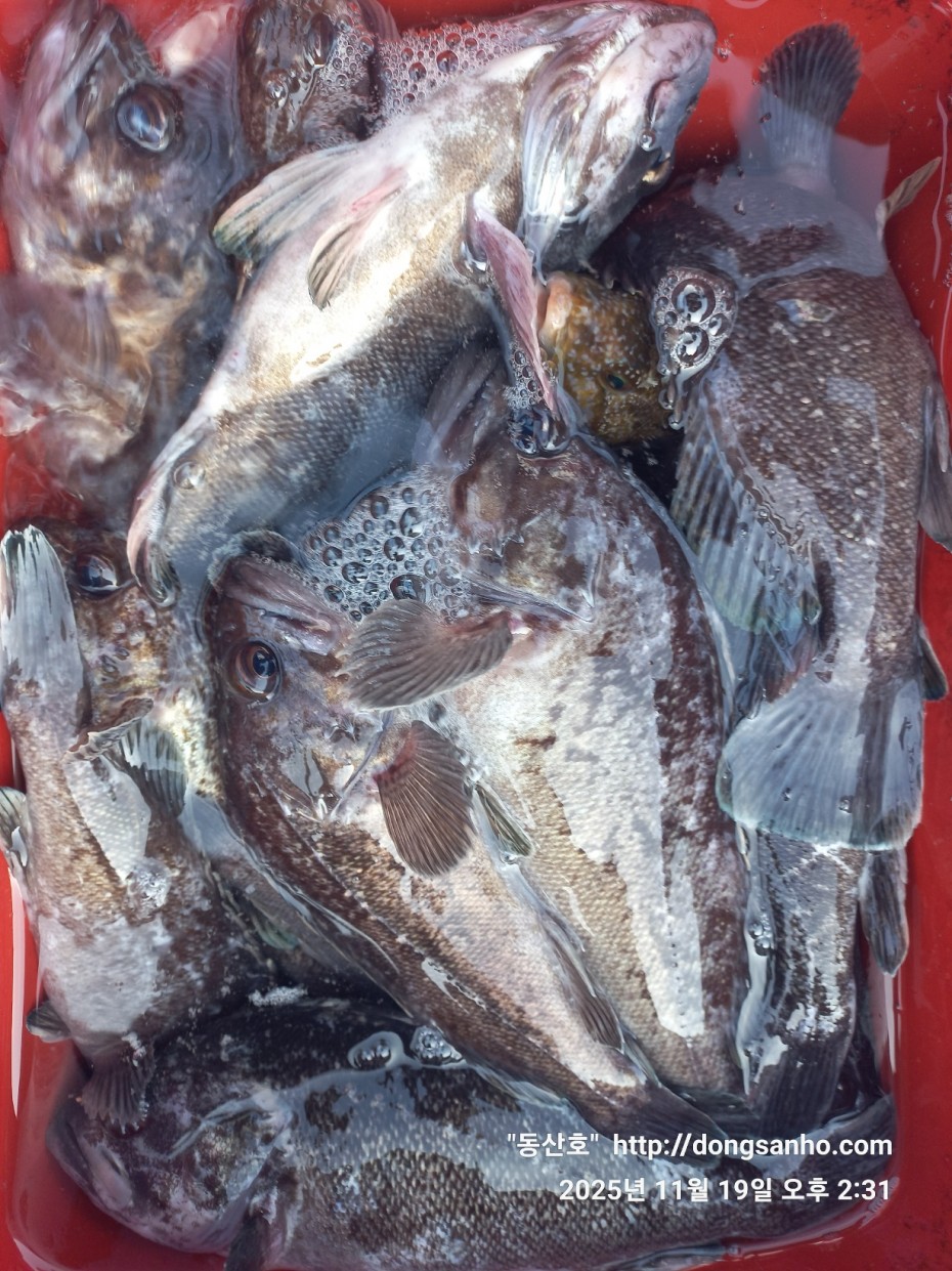 bd20d05e5f0070f6cbd87c76ff23e959_1763569