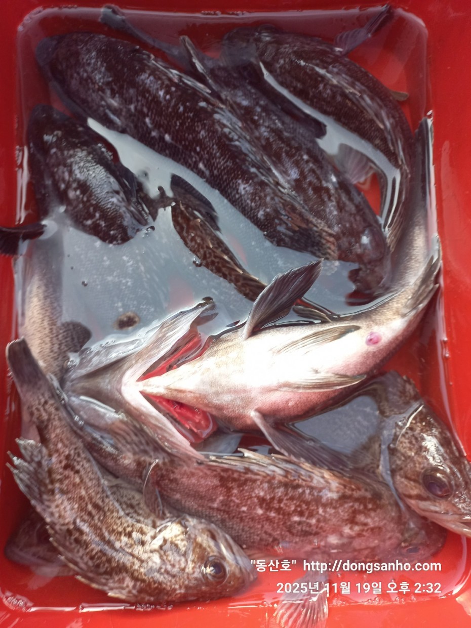 bd20d05e5f0070f6cbd87c76ff23e959_1763569