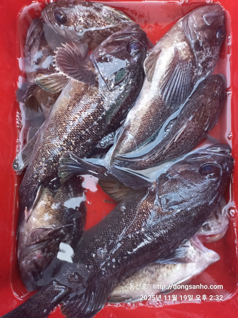 bd20d05e5f0070f6cbd87c76ff23e959_1763569