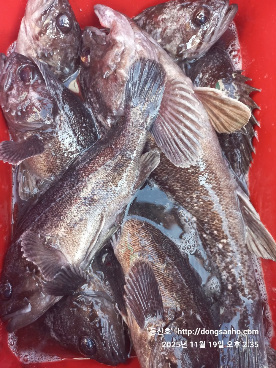 bd20d05e5f0070f6cbd87c76ff23e959_1763569