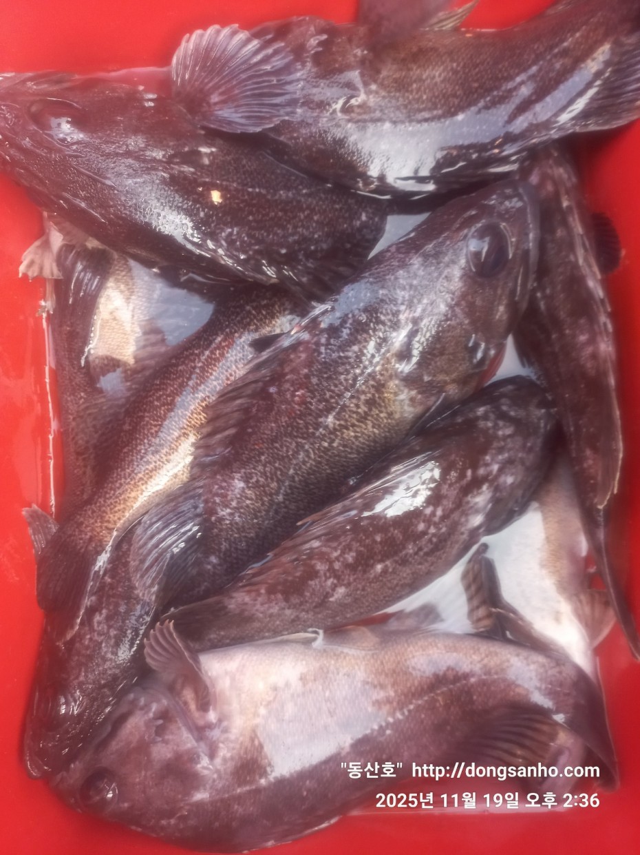 bd20d05e5f0070f6cbd87c76ff23e959_1763569