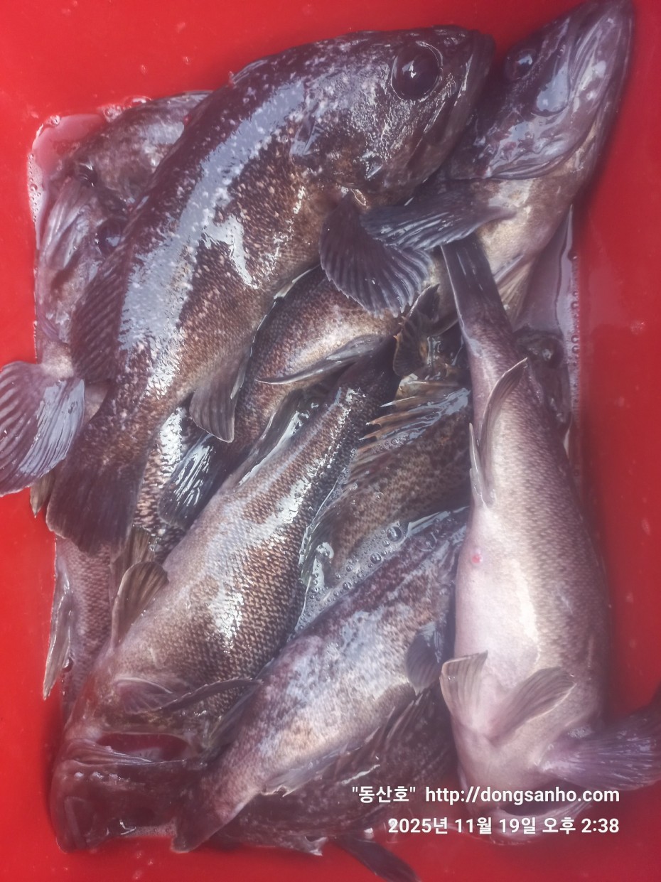 bd20d05e5f0070f6cbd87c76ff23e959_1763569