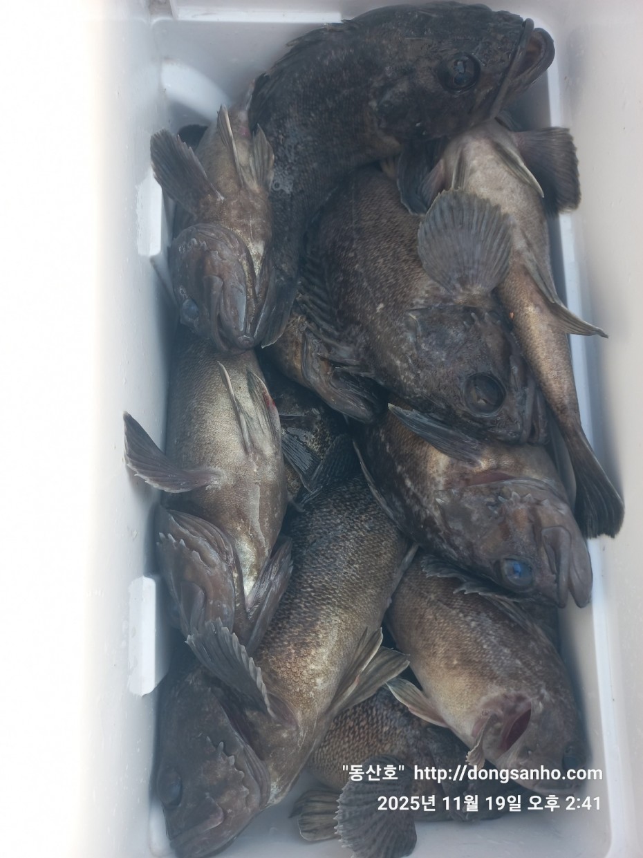 bd20d05e5f0070f6cbd87c76ff23e959_1763569