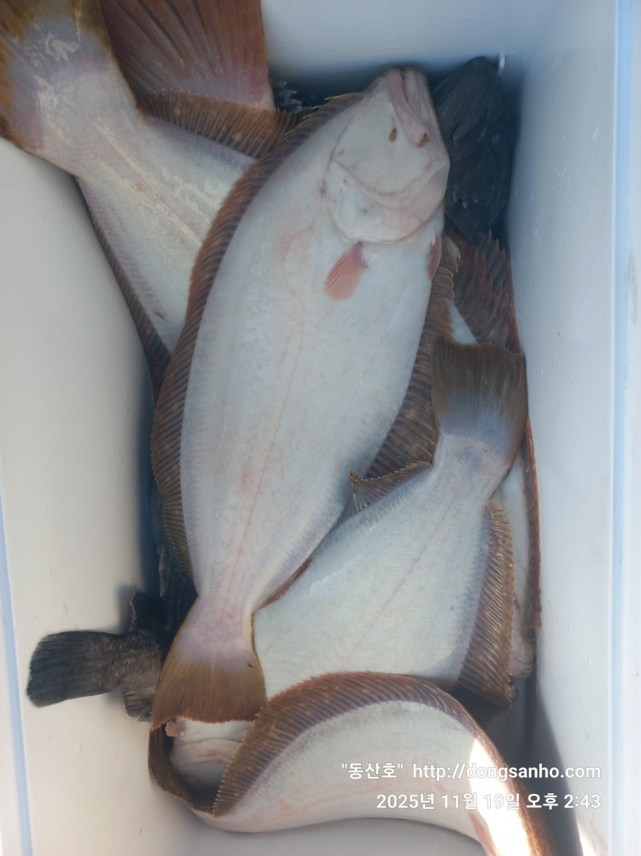 bd20d05e5f0070f6cbd87c76ff23e959_1763569