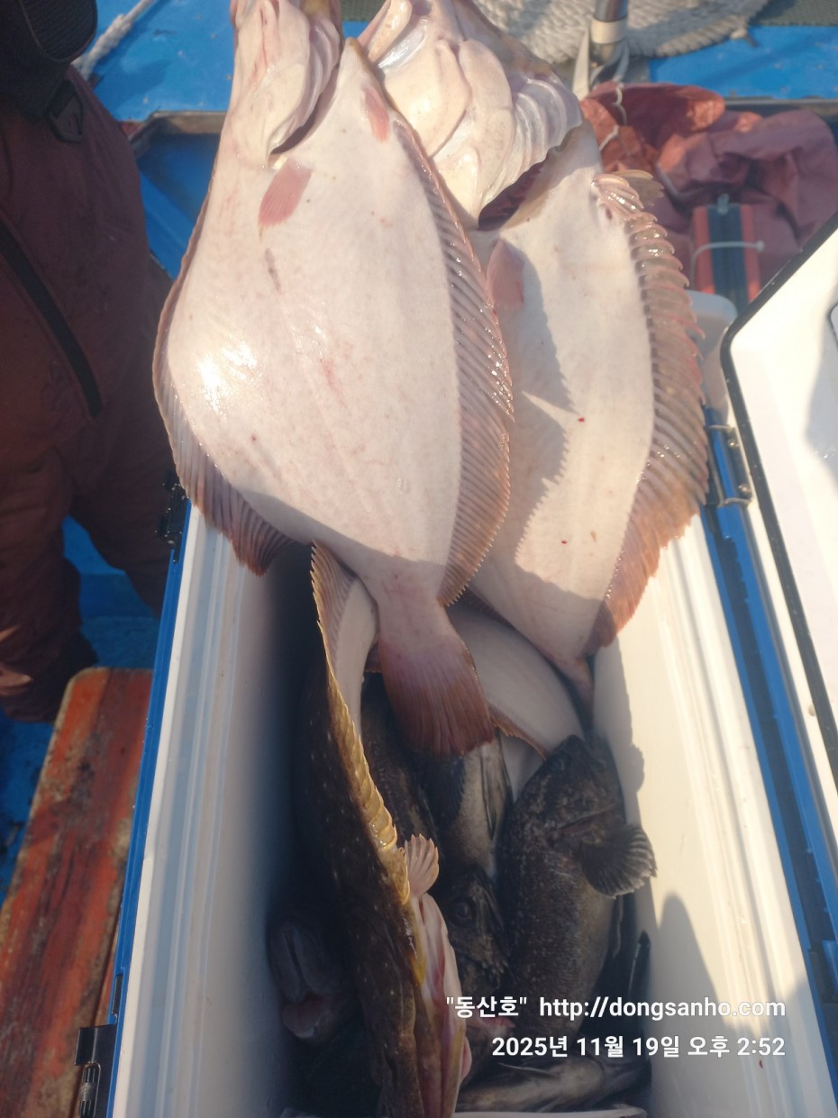 bd20d05e5f0070f6cbd87c76ff23e959_1763569