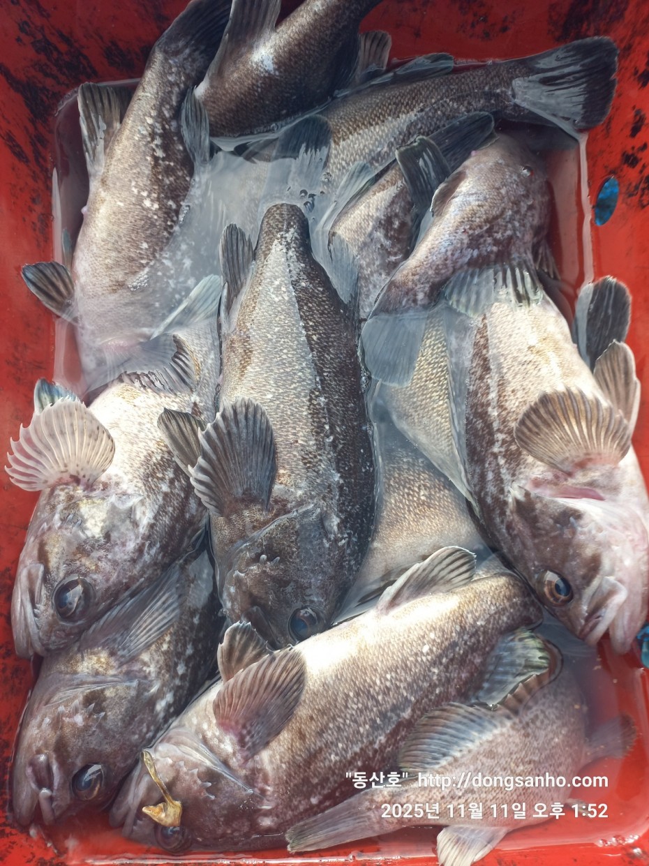 d36688c5f6c8d7dee49cae00df3d1205_1762873