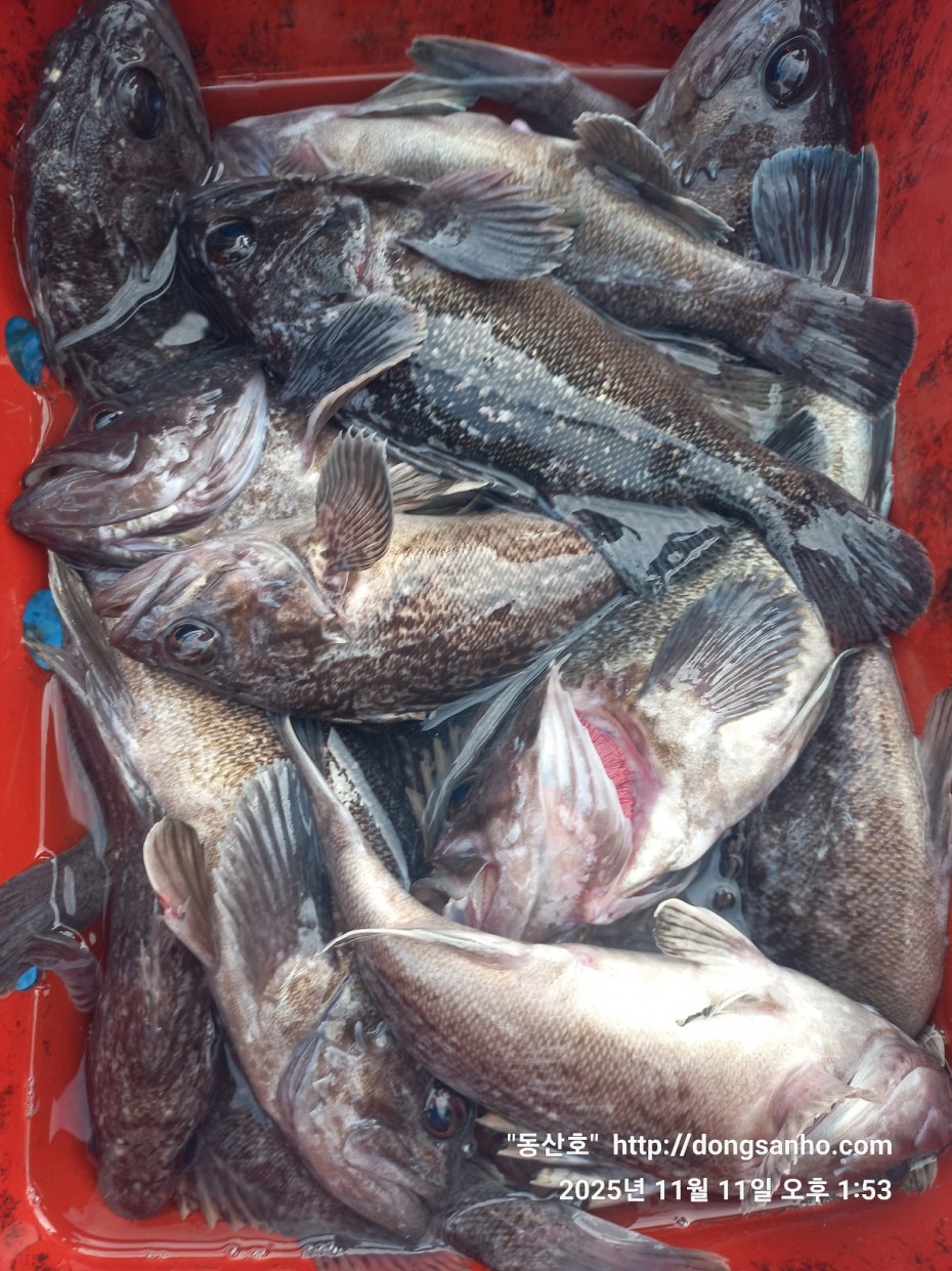 d36688c5f6c8d7dee49cae00df3d1205_1762873