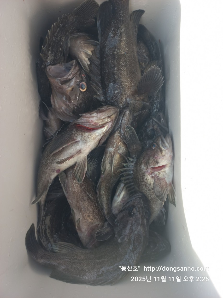 d36688c5f6c8d7dee49cae00df3d1205_1762873