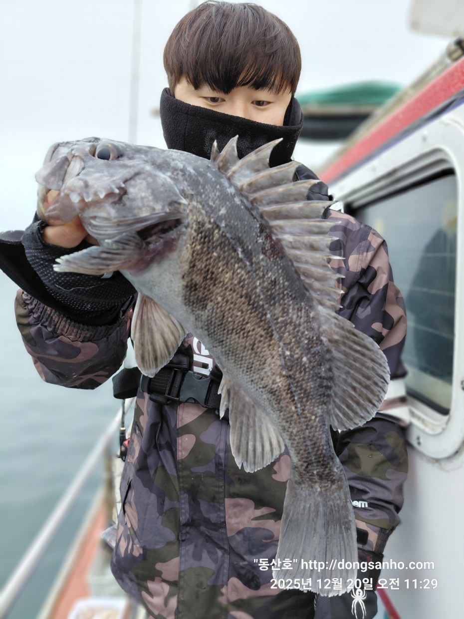 0bd46a48f032043a34ca265981df4bb5_1766265