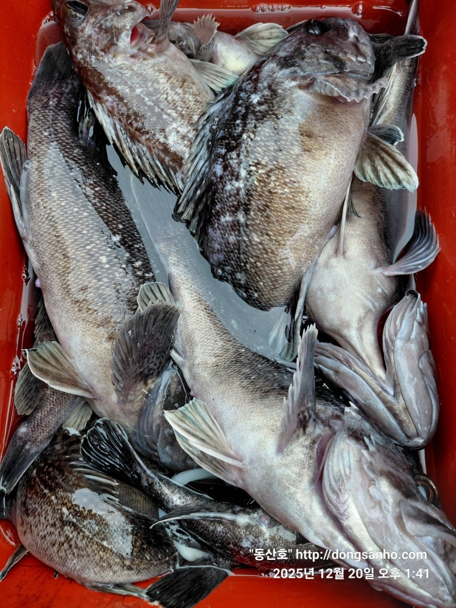 0bd46a48f032043a34ca265981df4bb5_1766265