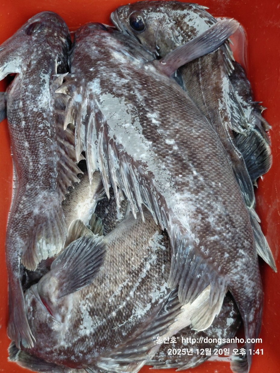 0bd46a48f032043a34ca265981df4bb5_1766265