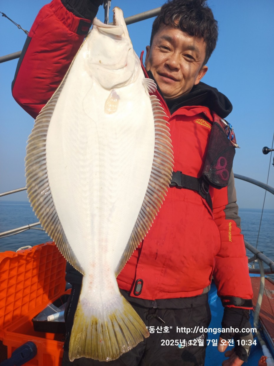 ab49e2ef79f925d6143da1f762d64438_1765528