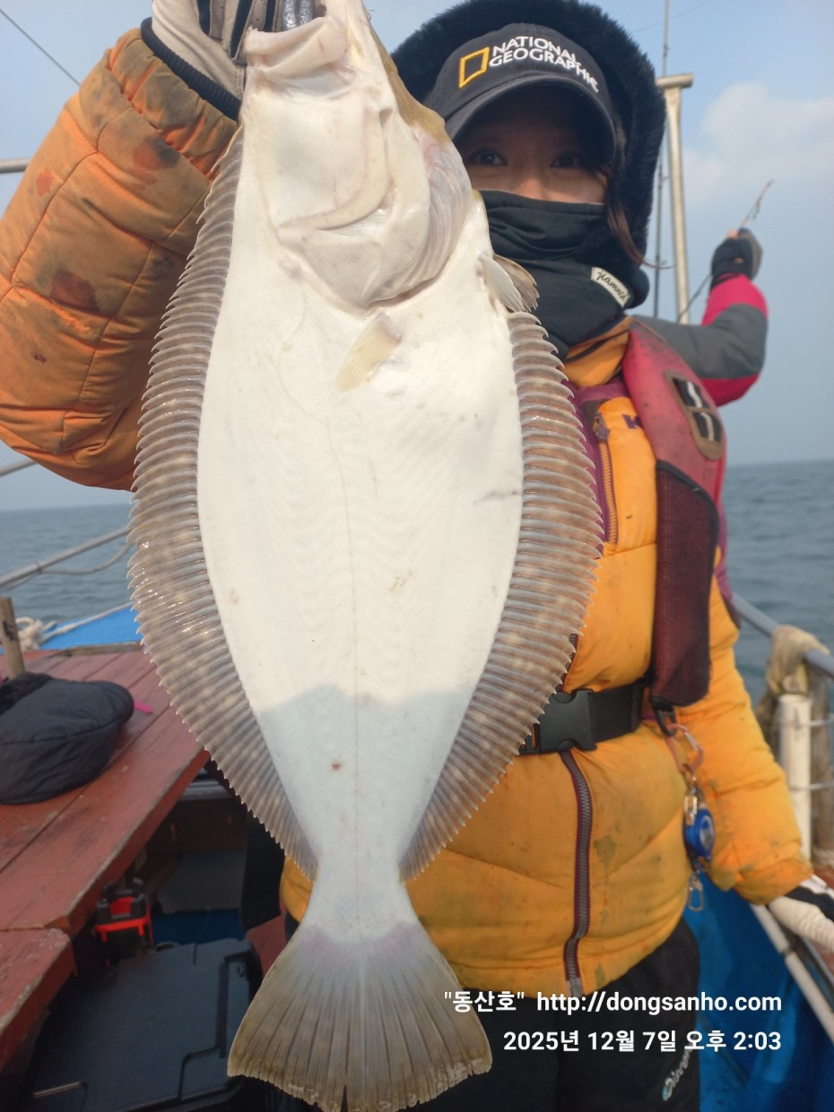 ab49e2ef79f925d6143da1f762d64438_1765528