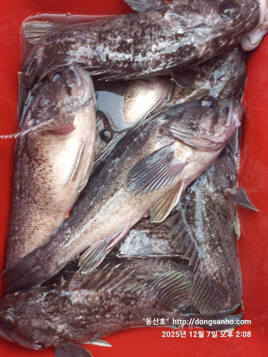 ab49e2ef79f925d6143da1f762d64438_1765528